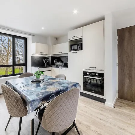 Apartment Cozy In With Kitchen
